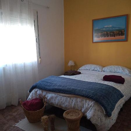 Апартаменты Ca Pepet Adzaneta de Albaida Экстерьер фото